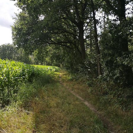 B&B De Koffietuin Beekbergen Exteriör bild